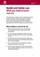 Health and safety law: what you need to know? (English large print leaflet) (pack of 10)