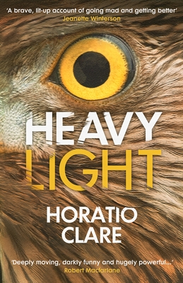 Heavy Light: A Journey Through Madness, Mania and Healing - Clare, Horatio