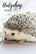 Hedgehog Notebook: 120 pages, 6x9 - Cute Little Hedgehogs and Leaves College Ruled Notebook for Writing Notes... for Girls, Kids, School, Students and Teachers (Hedgehog Gifts)