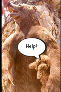 Help!: PASSWORD KEEPER: Keep track of Usernames, internet password logbook, addresses with a bonus section with credit card info