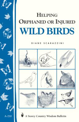 Helping Orphaned or Injured Wild Birds: Storey's Country Wisdom Bulletin A-210 - Scarazzini, Diane