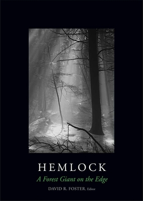 Hemlock: A Forest Giant on the Edge - Foster, David R (Editor), and D'Amato, Anthony, and Baiser, Benjamin