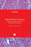 Hepatocellular Carcinoma: Challenges and Opportunities of a Multidisciplinary Approach