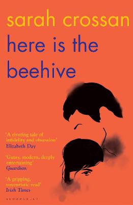Here is the Beehive: Shortlisted for Popular Fiction Book of the Year in the AN Post Irish Book Awards - Crossan, Sarah
