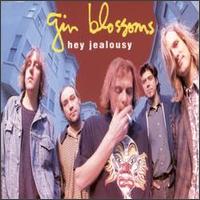 Hey Jealousy [Single] - Gin Blossoms