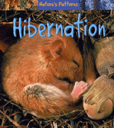 Hibernation