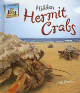 Hidden Hermit Crabs