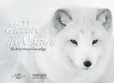 Hidden in Nature: Art of  Animal Camouflage - Levin, Anna, and Library, Nature Picture