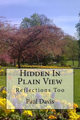 Hidden In Plain View: Reflections Too - Davis, Paul