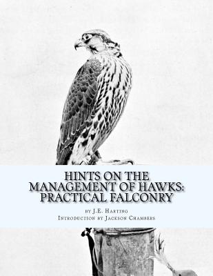 Hints on the Management of Hawks: Practical Falconry - Harting, J E, and Chambers, Jackson (Introduction by)