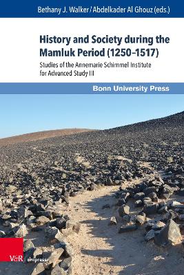 History and Society During the Mamluk Period (1250-1517): Studies of the Annemarie Schimmel Institute for Advanced Study III - Walker, Bethany J (Editor), and Al Ghouz, Abdelkader (Editor)