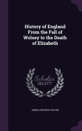 History of England From the Fall of Wolsey to the Death of Elizabeth