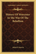 History Of Worcester In The War Of The Rebellion