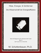 Hitze, Energie, & Gluhbirnen: Die Wissenschaft Der Energieeffizienz: Daten & Diagramme Fur Wissenschaft Labor: Band 3