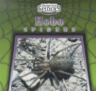 Hobo Spiders