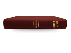 Holy Bible, Berean Standard Bible - Genuine Leather - Tosca Cowhide Garnet