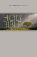 Holy Bible-NIV