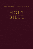 Holy Bible-NIV