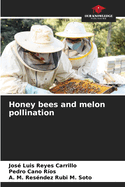 Honey bees and melon pollination