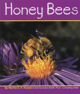 Honey Bees