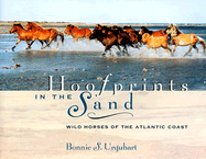 Hoofprints in the Sand: Wild Horses of the Atlantic Coast
