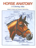 Horse Anatomy: A Coloring Atlas