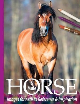Horse and Mule Images for Artist's Reference and Inspiration - Tregay, Sarah