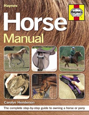 Horse Manual: The complete step-by-step guide to owning a horse or pony - Henderson, Carolyn