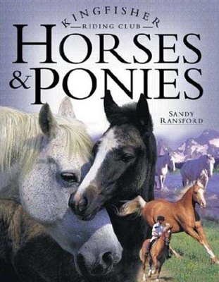 Horses and Ponies - Ransford, Sandy