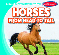 Horses from Head to Tail