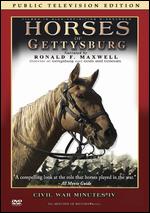Horses of Gettysburg: Public Television Edition - Mark Bussler