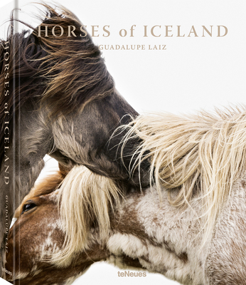 Horses of Iceland - Laiz, Guadalupe