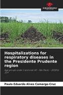 Hospitalizations for respiratory diseases in the Presidente Prudente region