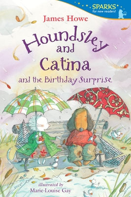 Houndsley and Catina and the Birthday Surprise - Howe, James