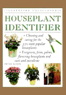 Houseplant Identifier (Ie)