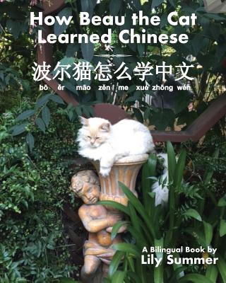 How Beau the Cat Learned Chinese - Summer, Lily