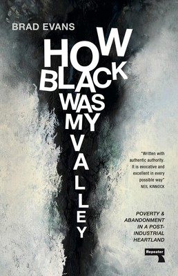 How Black Was My Valley: Poverty and Abandonment in a Post-Industrial Heartland - Evans, Brad