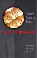 How China Grows: Investment, Finance, and Reform