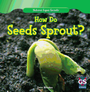 How Do Seeds Sprout?