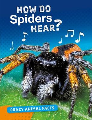 How Do Spiders Hear? - Furstinger, Nancy