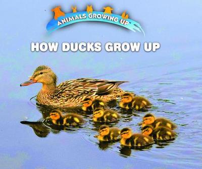 How Ducks Grow Up - Bozzo, Linda