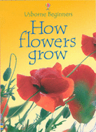 How Flowers Grow