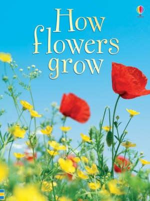 How Flowers Grow - Helbrough, Emma