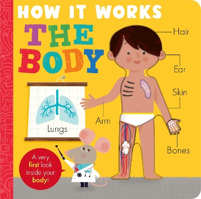 How it Works: The Body - Hepworth, Amelia, and Semple, David (Illustrator)