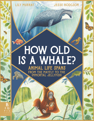 How Old Is a Whale?: Animal Life Spans from the Mayfly to the Immortal Jellyfish - Murray, Lily