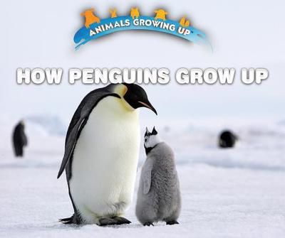 How Penguins Grow Up - Idzikowski, Lisa