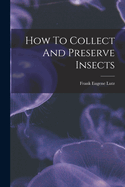 How To Collect And Preserve Insects