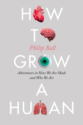 How to Grow a Human: Adventures in How We Are Made and Who We Are - Ball, Philip