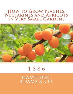 How to Grow Peaches, Nectarines and Apricots in Very Small Gardens: 1886 - Chambers, Roger (Introduction by), and Hamilton, Adams & Co