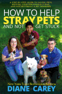 How to Help Stray Pets and Not Get Stuck